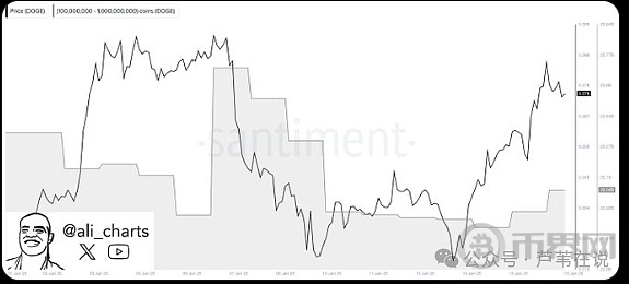 Will Accumulating 2 Billion Dogecoin by Whales Lead to a  Increase in DOGE Price?