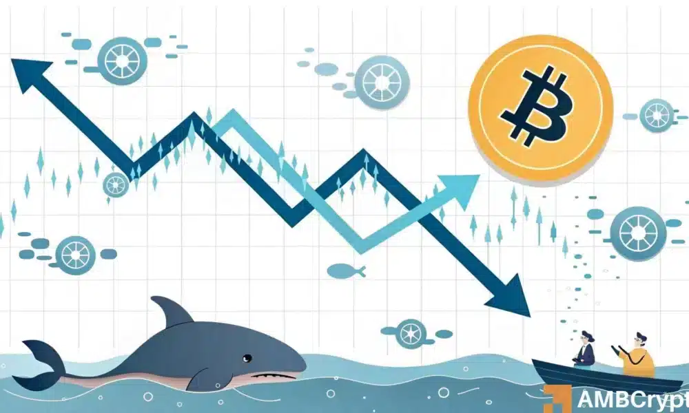 比特币价格走势:历史新低对比特币的影响